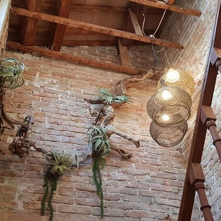 Maison Du Flaneur キオッジャ エクステリア 写真